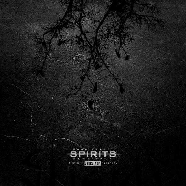 Spirits album cover